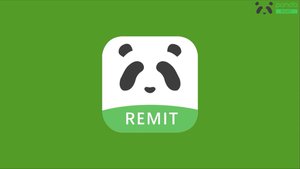 熊猫速汇 公司图标
